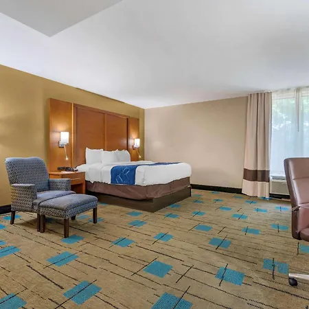 Comfort Suites Near Mcas Beaufort-3